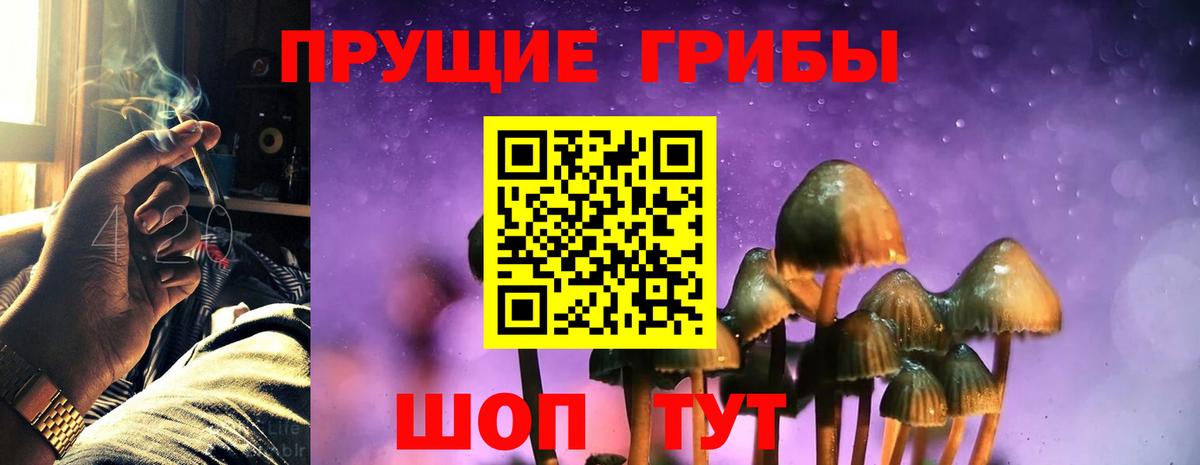 Псилоцибиновые грибы Psilocybine cubensis  Галлюциногенные грибы мицелий  Хабаровск  Вход с VPN 